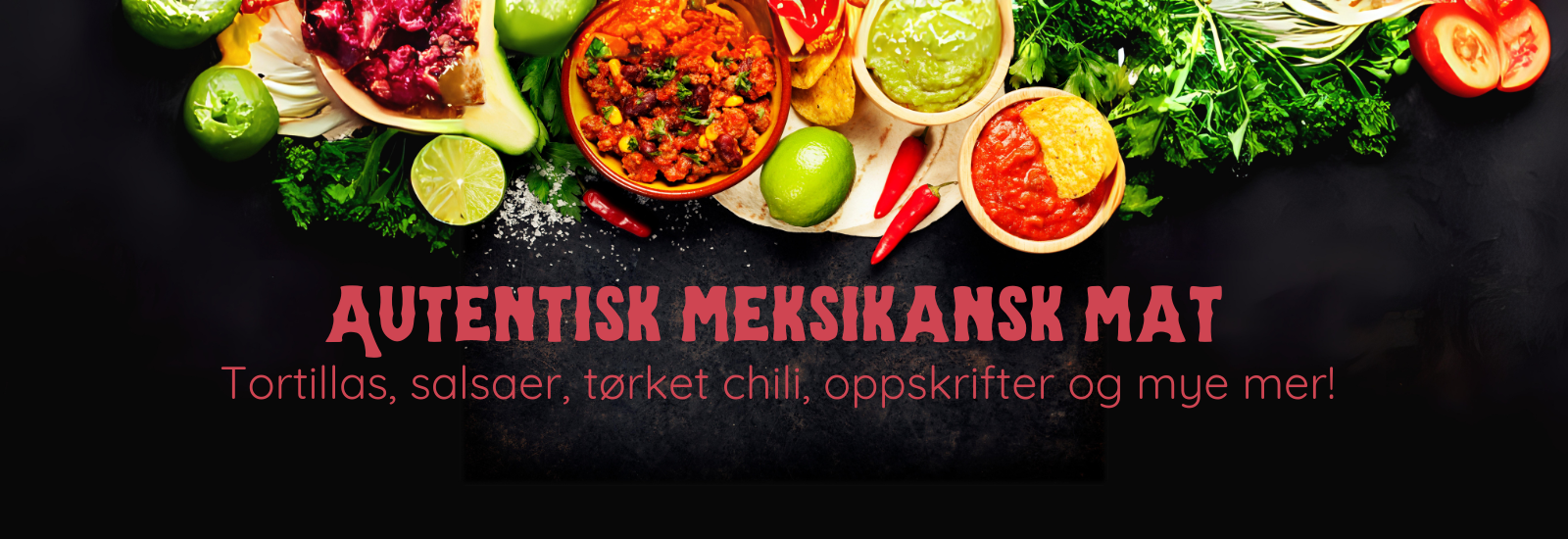 Kaktus.no - ekte meksikansk mat i norge